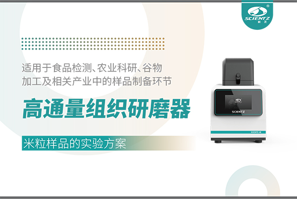高通量組織研磨器處理米粒樣品的實(shí)驗(yàn)方案