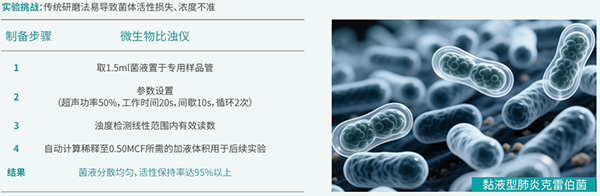 ScreenShot_2026-01-22_163324_110